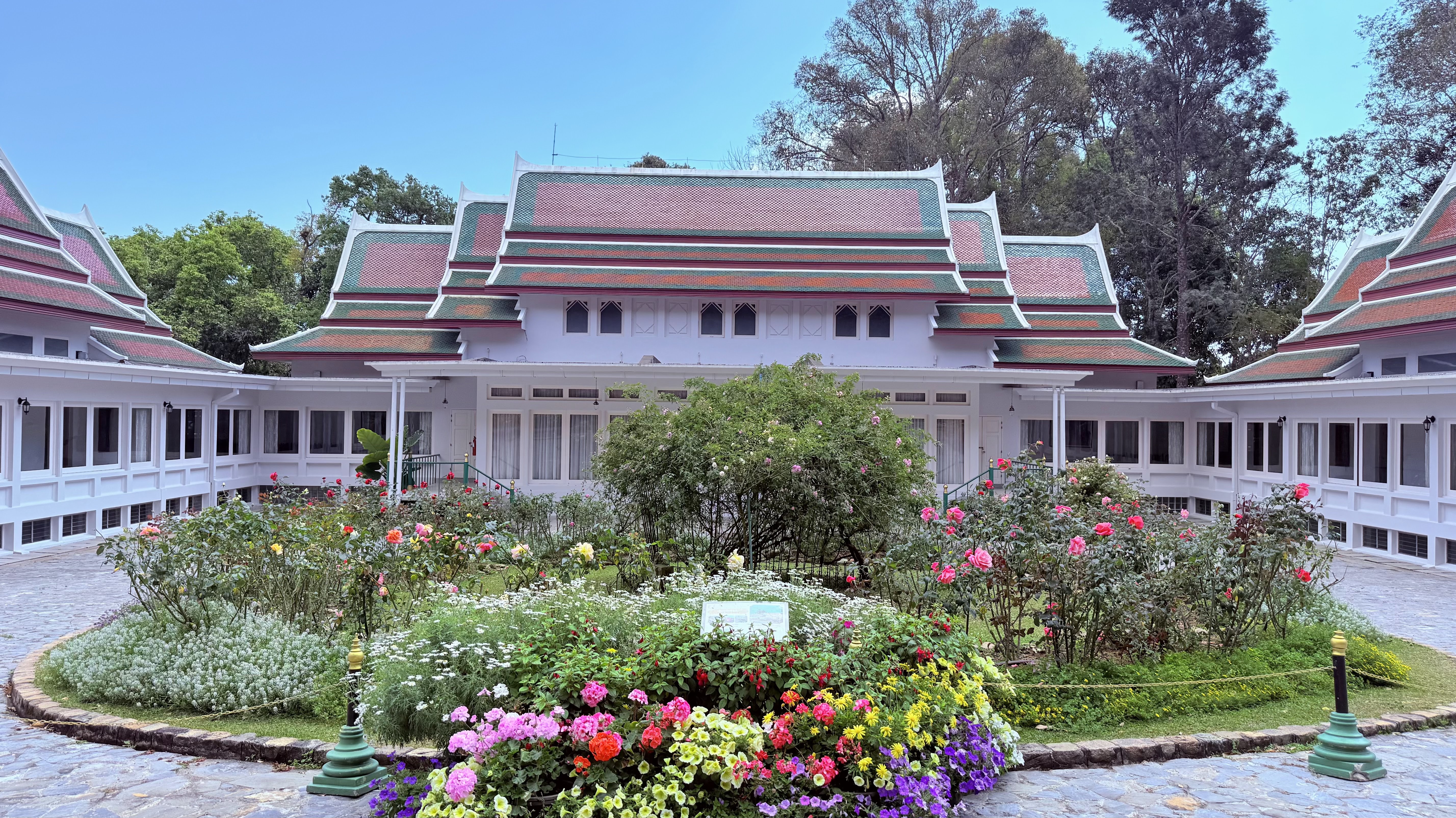 高山兰花 (Highland Orchids)
