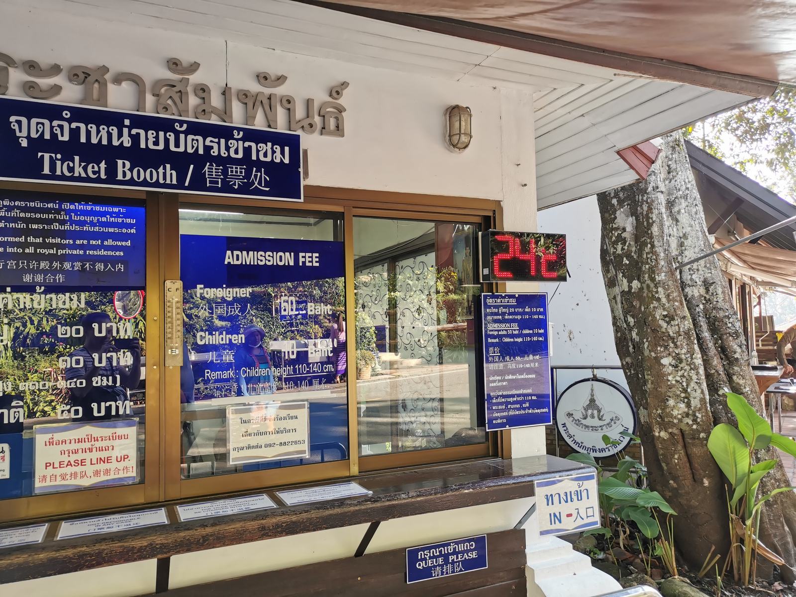 กุหลาบจูเลียต