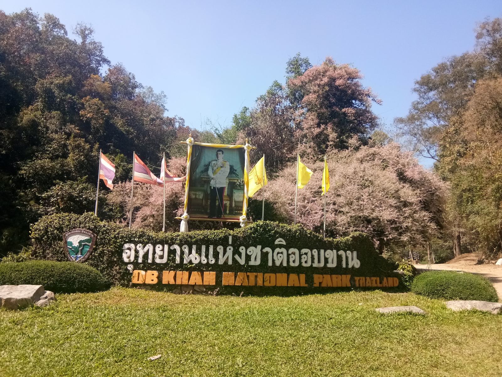 กุหลาบพีซ
